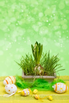 Hyacinth in easter decoration on green bokeh background