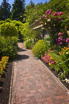 Flower garden with paved path