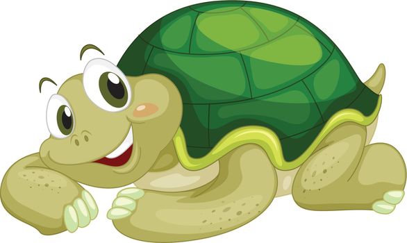 Animated turtle