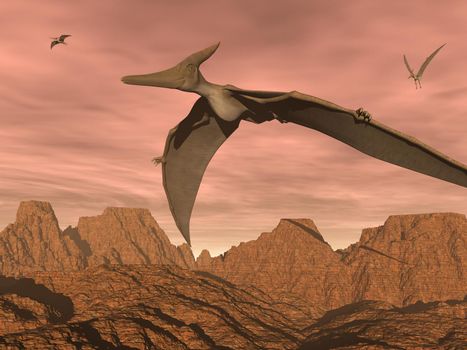 Pteranodon dinosaurs flying - 3D render