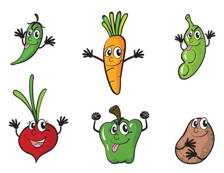 illustration of various vegetables on a white background