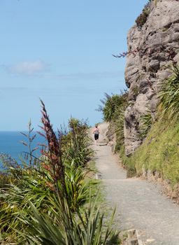 Woman hike The Mount at Tauranga in NZ