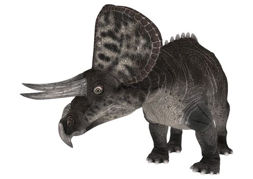 Dinosaur Zuniceratops