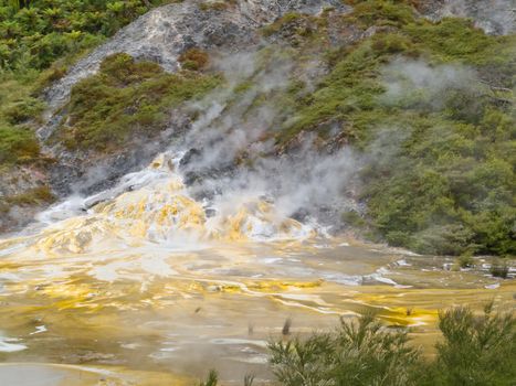 Green forest geothermal geyser Orakei Korako NZ