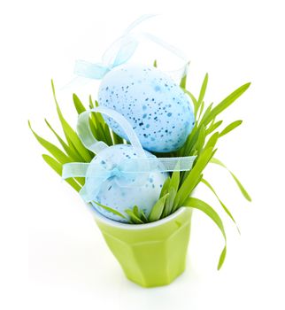 Blue Easter eggs arranged in cup with fresh green grass isolated on white
