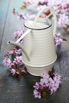 watering can on wooden table 