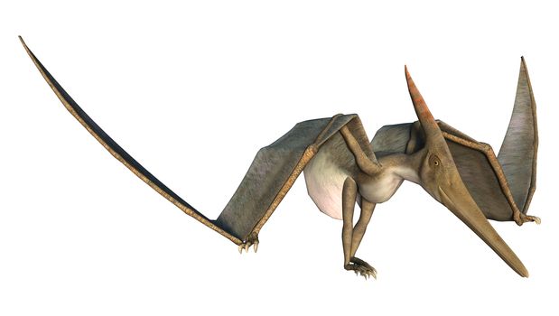 Grounded Pteranodon