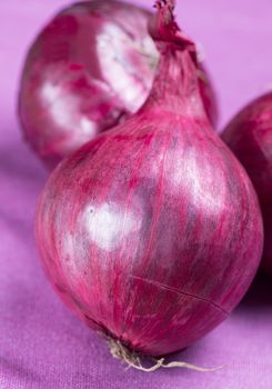 Macro Red onions on purple table cloth