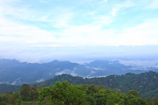 Sea of fog with forests as foreground. This place is in the Kaen