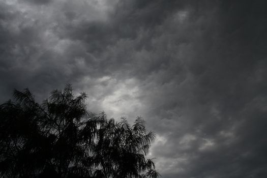 Dark Menacing Clouds of Approaching Storm and Tree