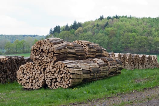 Stacked and bundled woodpile on a meadow