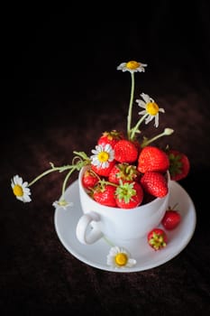 chamomiles and strawberries in the cup