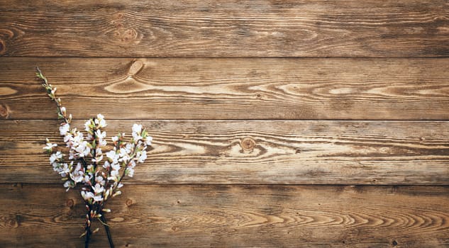 Flowers on wood texture background