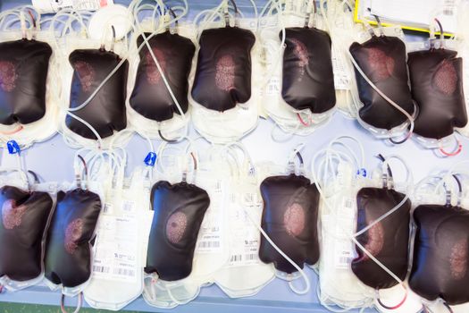 Blood transfusion bags.