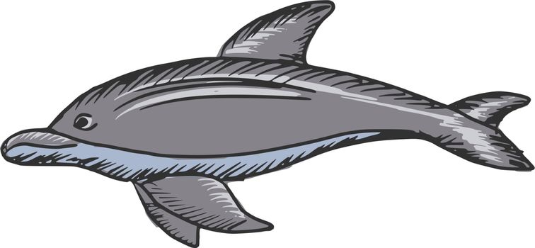 hand drawn, sketch, cartoon illustration of dolphin