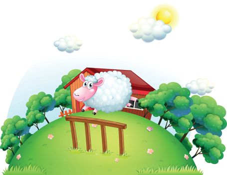 A sheep at the barnyard