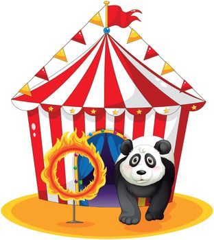 A panda beside the fireball