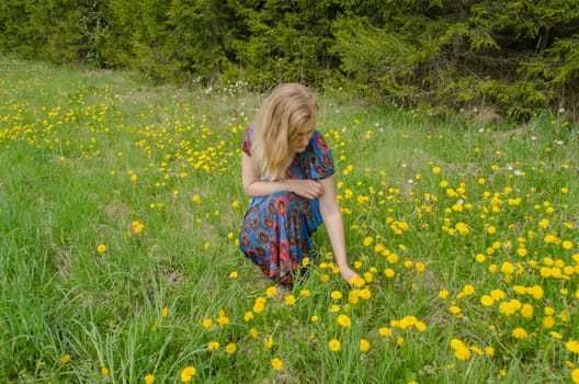 woman on the meadow enjoy nature with sowthistle