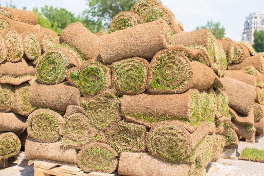Big stacks of sod rolls for new lawn