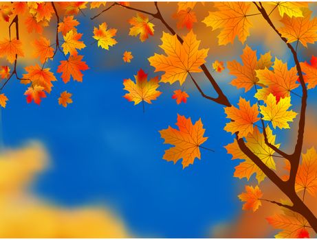 Red and yellow leaves against blue sky. EPS 8