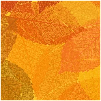 Dry autumn leaves template. EPS 8