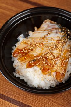 eel with rice