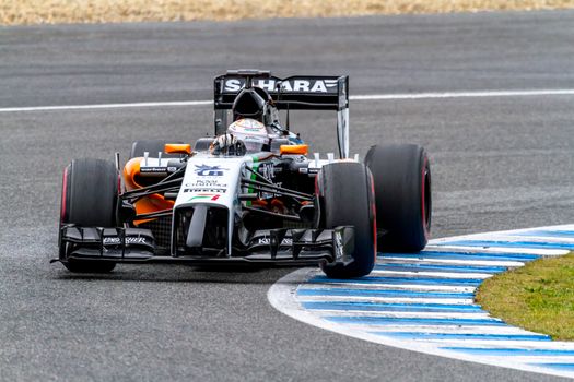 Team Force India F1, Daniel Juncadella, 2014
