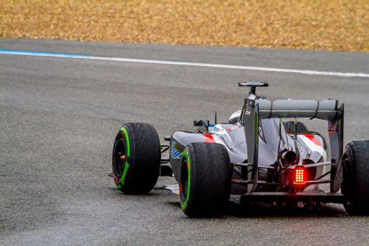 Team Sauber F1, Adrian Sutil, 2014