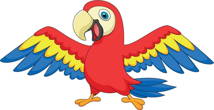 Macaw bird cartoon