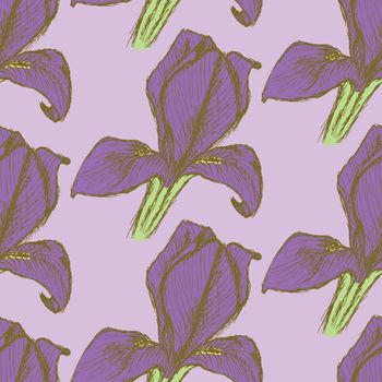 Sketch iris, vector vintage seamless pattern