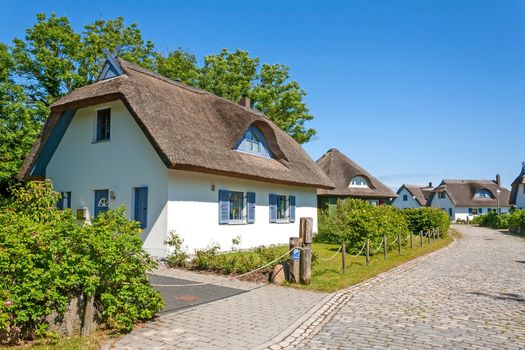 thatched-roof house