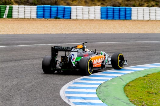 Team Force India F1, Daniel Juncadella, 2014