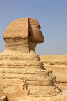 Close up of side view of Sphinx Cairo