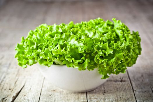 lettuce salad in a bowl