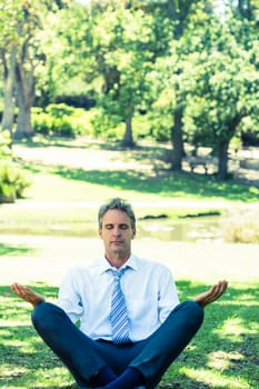 Relaxed businessman meditating on grass in park