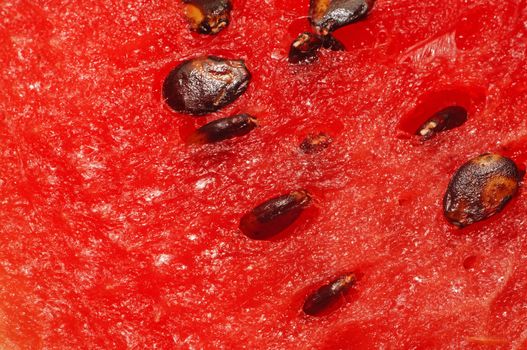 Watermelon pulp with seeds closeup