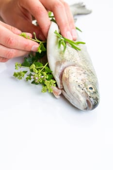 Female chef's hands stuffing a freshly cought trout
