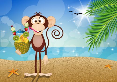 Monkey with pineapple drink on the beach