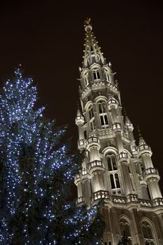 Brussels Winter Wonders - 04