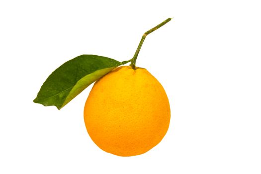 Fresh sweet orange with green leaf