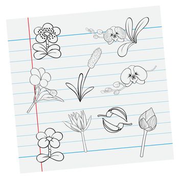 Illustration of flower on paper