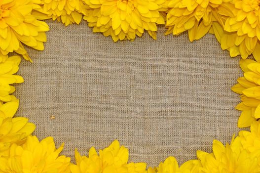 Frame of yellow flowers against a background of rough cloth                               