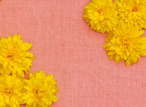 Frame of yellow flowers against a background of pink cloth