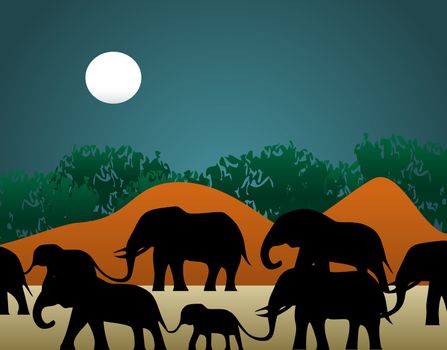 Vector illustration of a family of elephants walking through the jungle in the night.