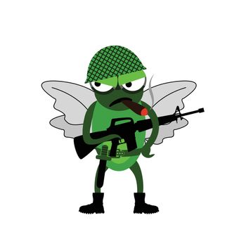 Fly of soldiers