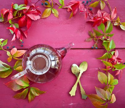 Hot tea in autumn