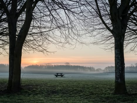 Trees bench table silhouette dawn