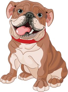 Illustration of cute English bulldog