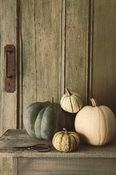 Pile of pumpkins and gourds on old bench