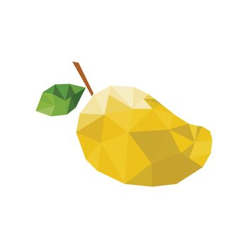 mango illustrator vector